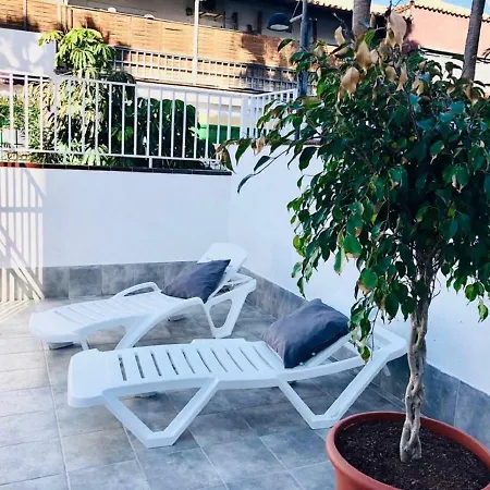 Sun And Harmony Apartment
